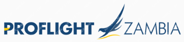 Airline Partner